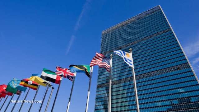 United-Nations-Building-Flags