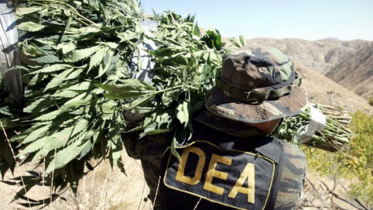 DEA